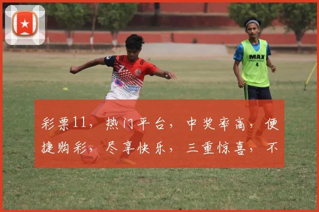 彩票11，热门平台，中奖率高，便捷购彩，尽享快乐，三重惊喜，不容错过，快来体验