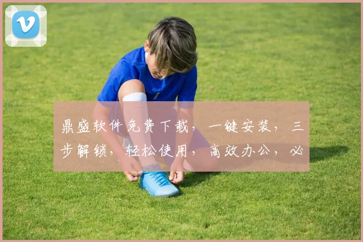 鼎盛软件免费下载，一键安装，三步解锁，轻松使用，高效办公，必备利器，不容错过