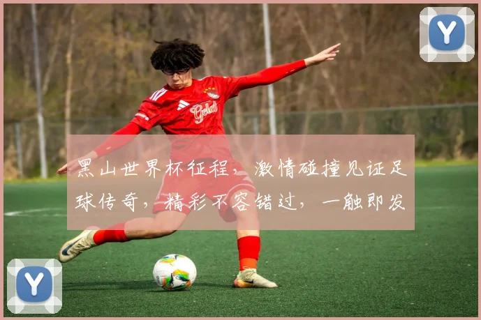黑山世界杯征程，激情碰撞见证足球传奇，精彩不容错过，一触即发