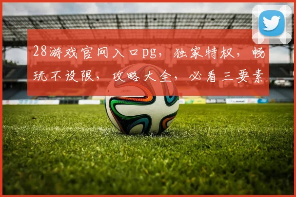 28游戏官网入口pg，独家特权，畅玩不设限，攻略大全，必看三要素，一网打尽