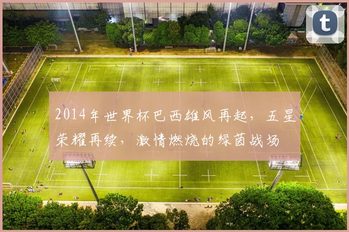 2014年世界杯巴西雄风再起，五星荣耀再续，激情燃烧的绿茵战场