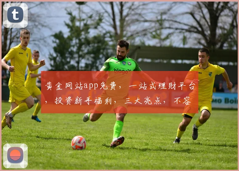 黄金网站app免费，一站式理财平台，投资新手福利，三大亮点，不容错过