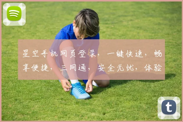 星空手机网页登录，一键快速，畅享便捷，三网通，安全无忧，体验非凡